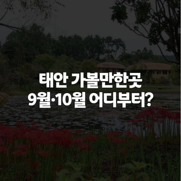 태안 가볼만한곳 9월·10월 추천, 아이와도 부모님과도 좋은 코스 정리