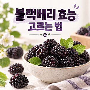 블랙베리 효능, 작은 보랏빛 열매를 매일의 간식으로 고르는 법