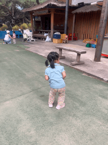 주말/연휴 하루 뚝딱, 4살 아이와 파주 쇠꼴마을 후기｜수확 체험부터 연만들기까지