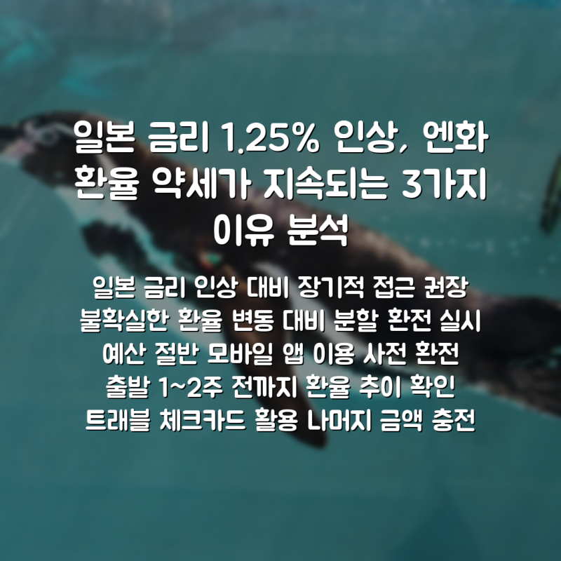 일본 금리 1.25% 인상, 엔화 환율 약세가 지속되는 3가지 이유 분석