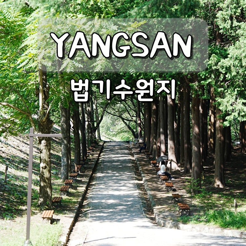 Yangsan Beopgi Reservoir: A Day Trip Destination Near Busan
