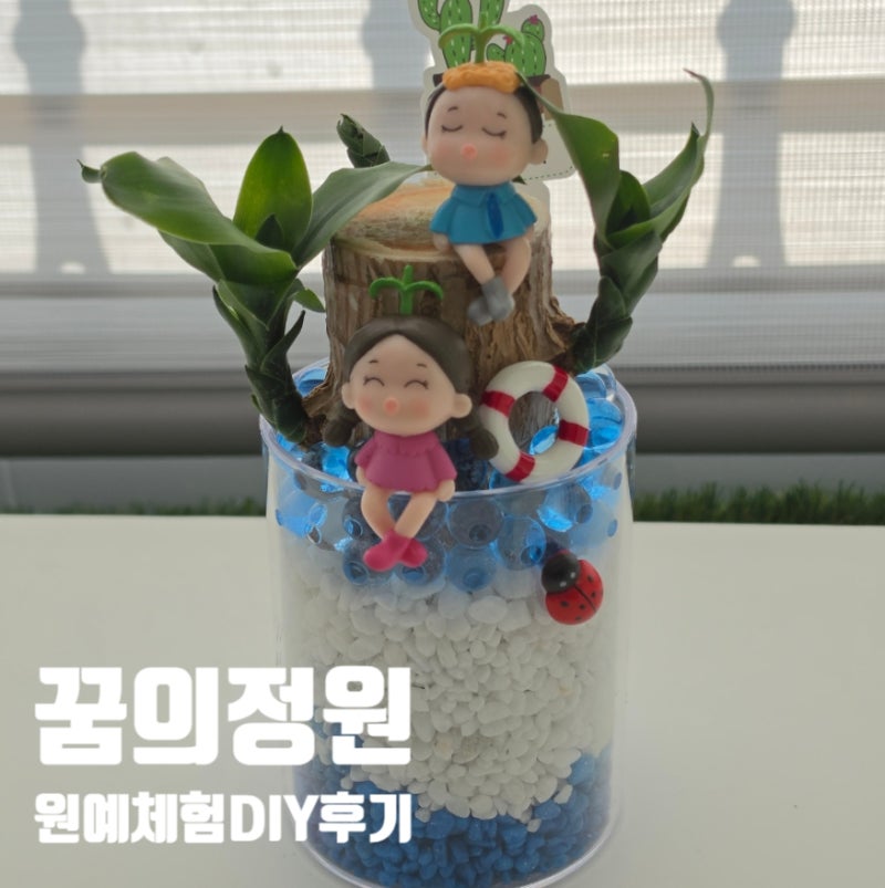 집에서 즐기는 꿈의정원 원예체험키트! 키우기쉬운식물 행운목 수경재배식물 공기정화식물/....