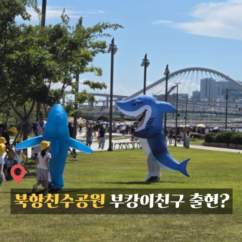 부캉이 보러 갔다가 상어 친구들(?) 만난 날｜부산 북항친수공원