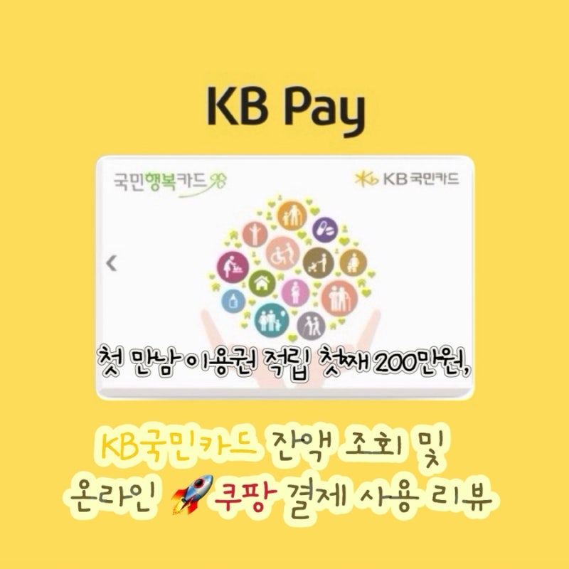 출생신고 후 첫 만남 이용권 적립 첫째 200만원, 국민행복카드KB국민카드 잔액조회 및 온라인 ....
