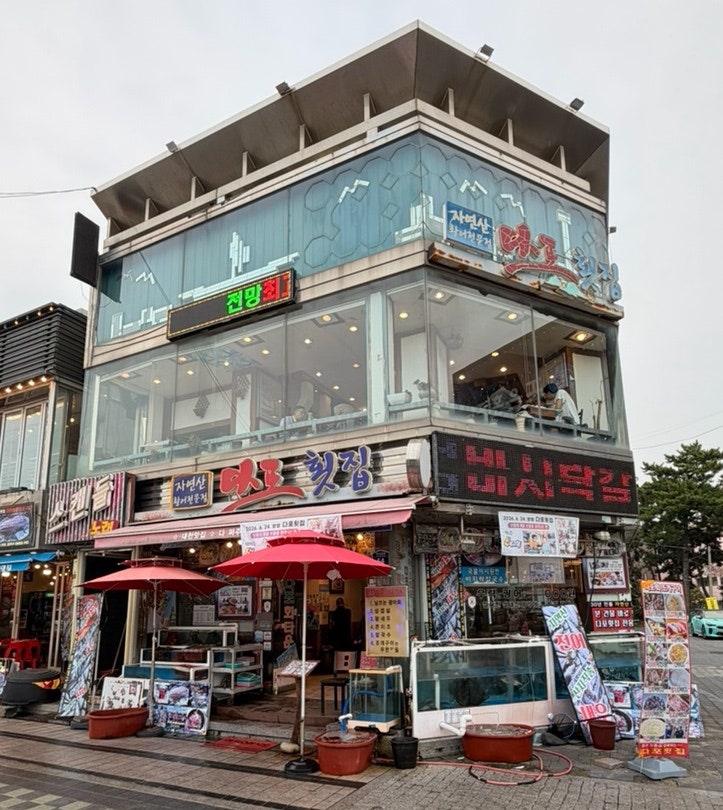 보령 대천항 근처 횟집 대천 오션뷰 횟집 다포횟집 가족외식 모임장소 추천
