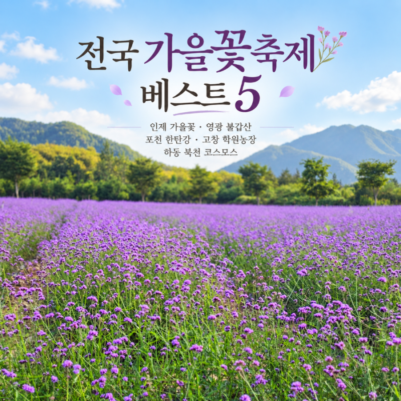 추석에 어디 갈까? 지금 가장 예쁜 전국 가을꽃축제 BEST5