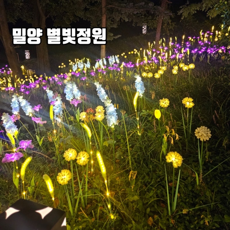 밀양 별빛정원 미디어아트 9월까지 무료관람
