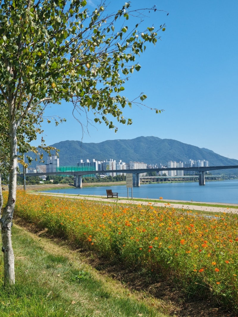 9월의 데이트 기록 모아보기 (청계천 파작, 경복궁 야간 개장, 어린이대공원, 남양주한강공원....