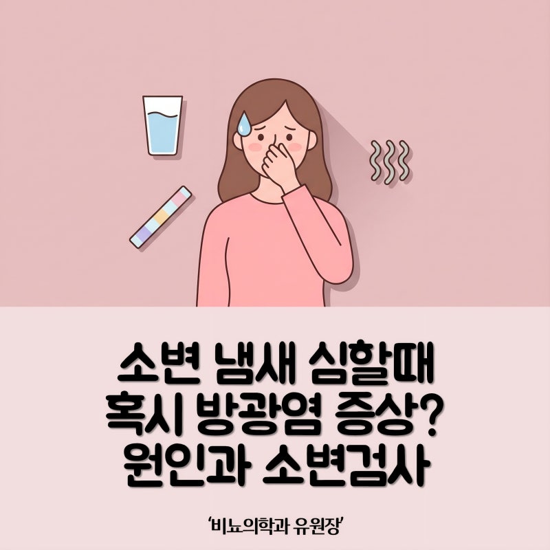 방광염 증상과 소변 냄새 심할때, 비뇨의학과 소변검사 원인