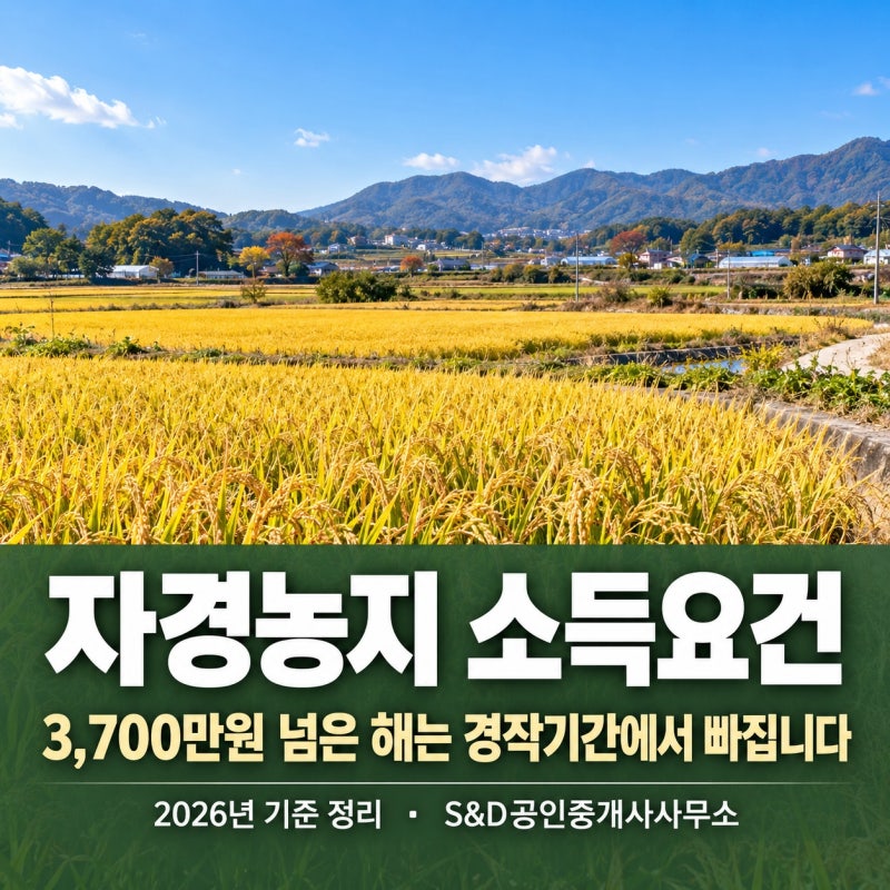 자경농민 소득요건 3,700만원, 총급여와 비과세 기준까지 정리(2026년)