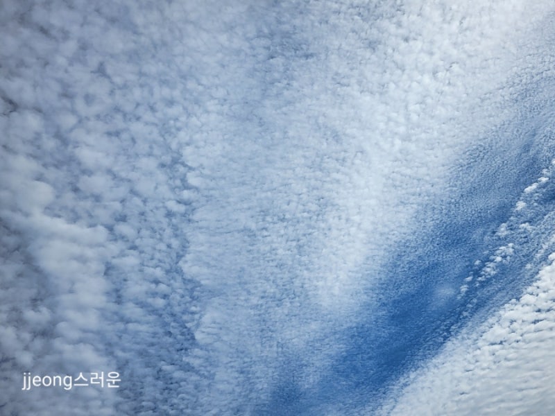 초한지(楚漢志