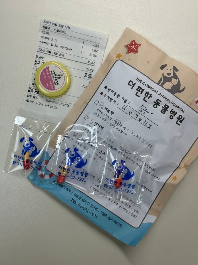 고양이 항문옆 종기? 여드름? 치료 후기