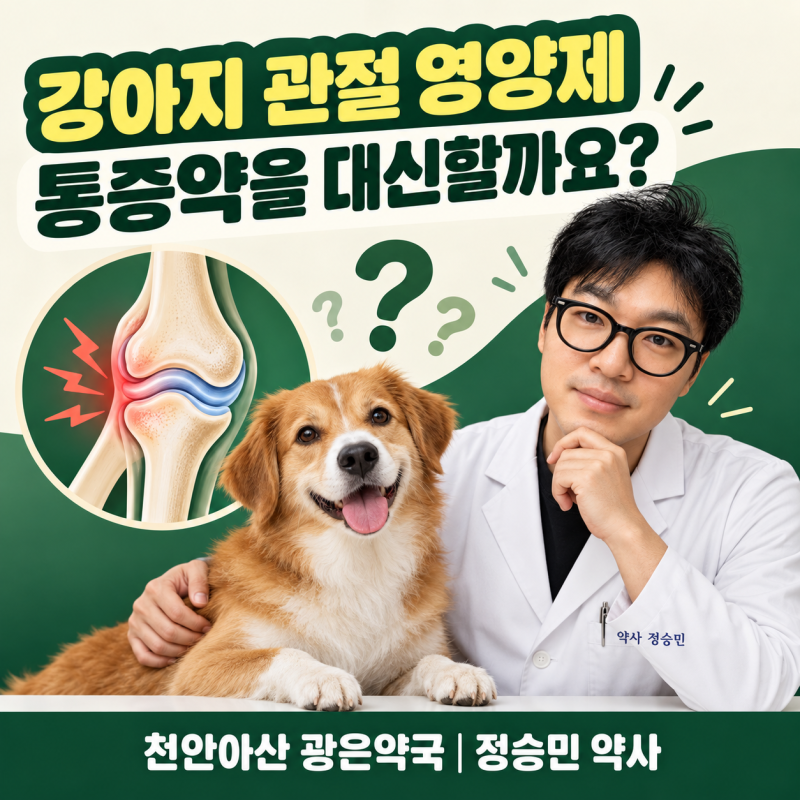 강아지 관절 영양제는 통증약을 대신할까요? 오메가3와 글루코사민 확인법 _천안·아산 배방....