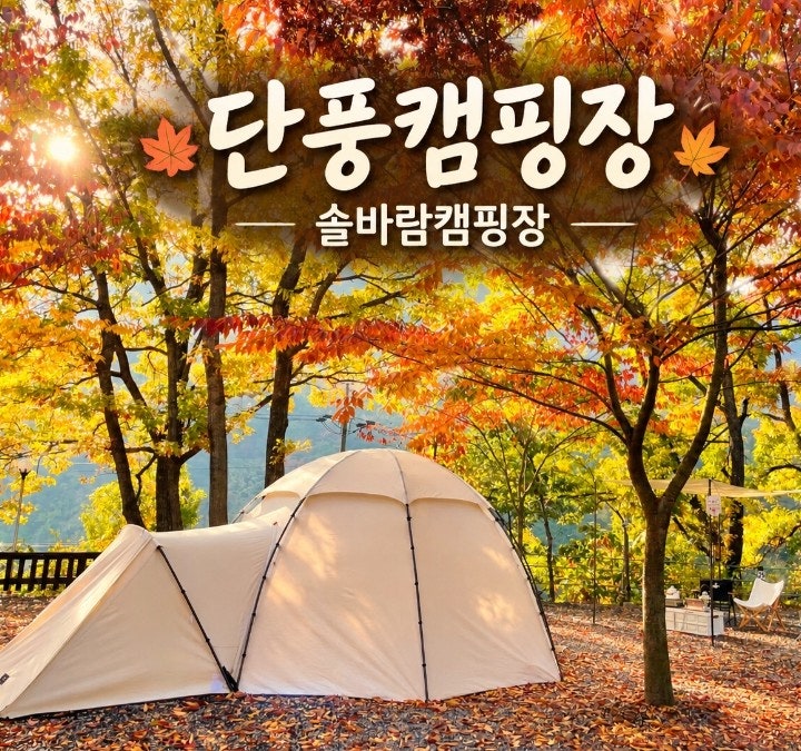 경남 단풍 캠핑장 추천, 가을에 가기 좋은 밀양 솔바람캠핑장