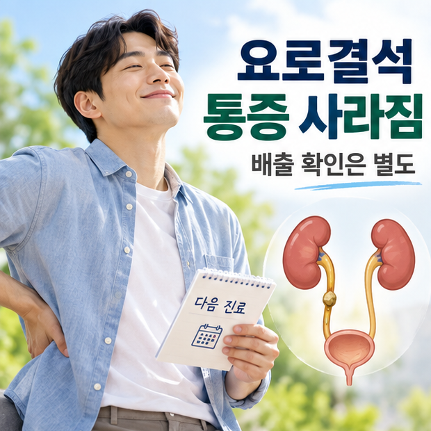 요로결석 통증이 사라졌어도, 배출 확인 검사 전에 남길 정보