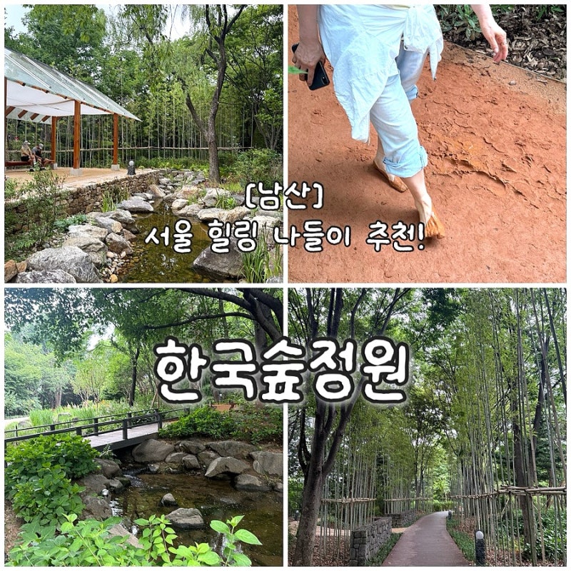 [남산] 서울 갈만한 곳, 부모님과 갈만한 곳 추천! 한국숲정원 나들이