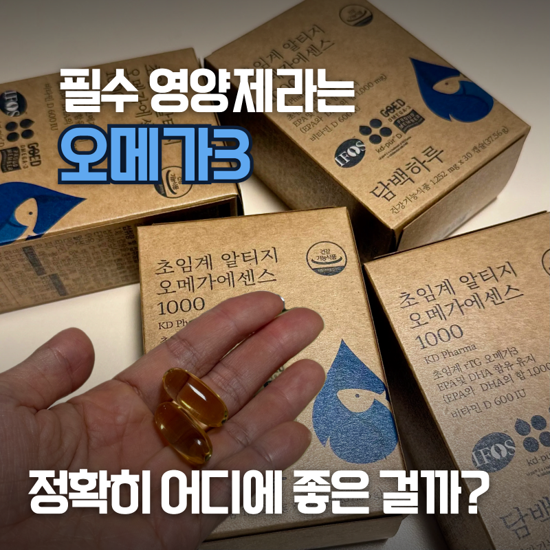 필수 영양제라는 오메가3 뭐 보고 골라야할까? 오메가3 추천 및 효능부터 고르는 법까지 | 담....
