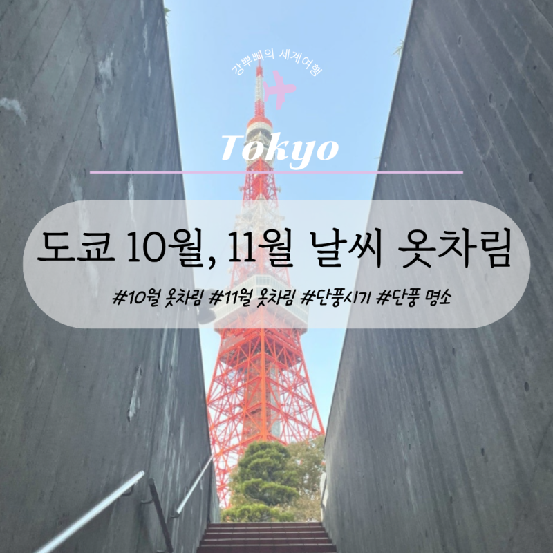 도쿄 10월 11월 날씨 (+단풍은 언제? 단풍 명소)｜옷차림 정리