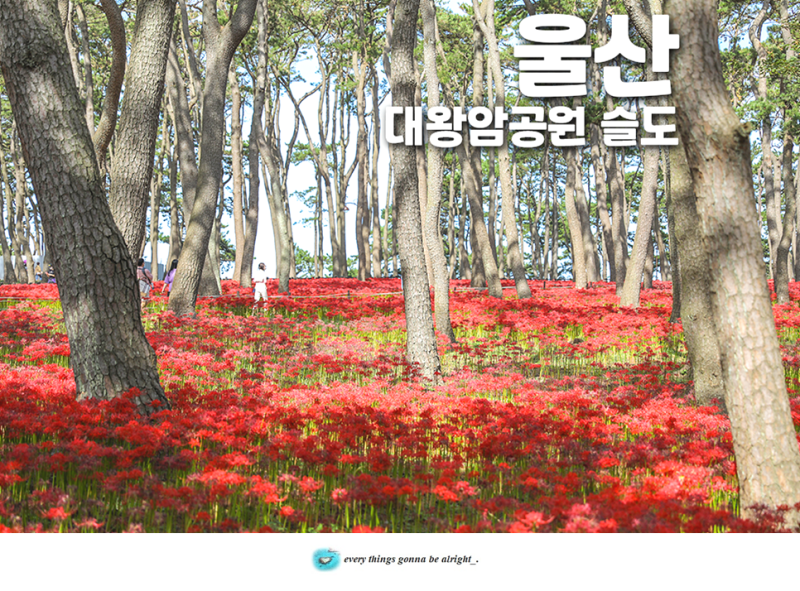 Ulsan Attractions for Kids: Daewangam Park, Spider Lily, Suspension Bridge, Ulsan Seuldo