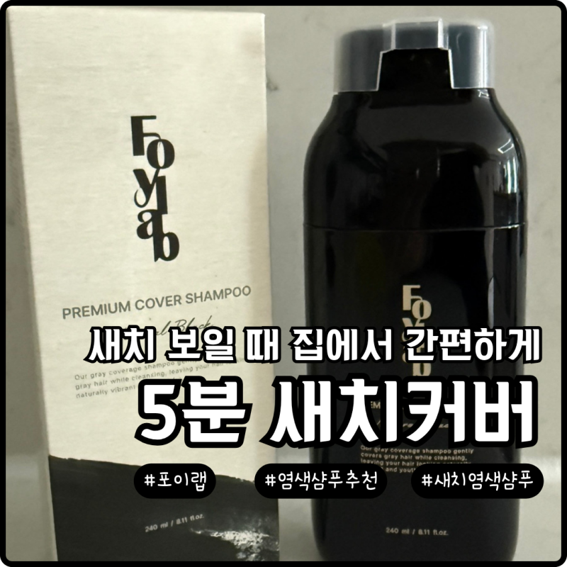 염색샴푸 추천 워킹맘이 써본 포이랩 커버샴푸