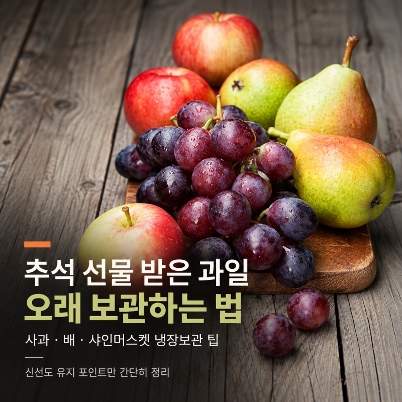 추석 선물 받은 과일 오래 보관하는 법｜사과·배·샤인머스캣 냉장보관 팁
