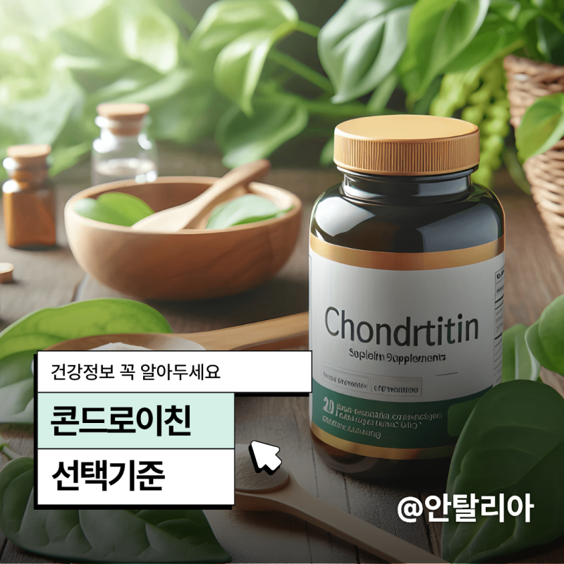 콘드로이친효능 , 관절영양제 좌식 생활과 무릎건강!