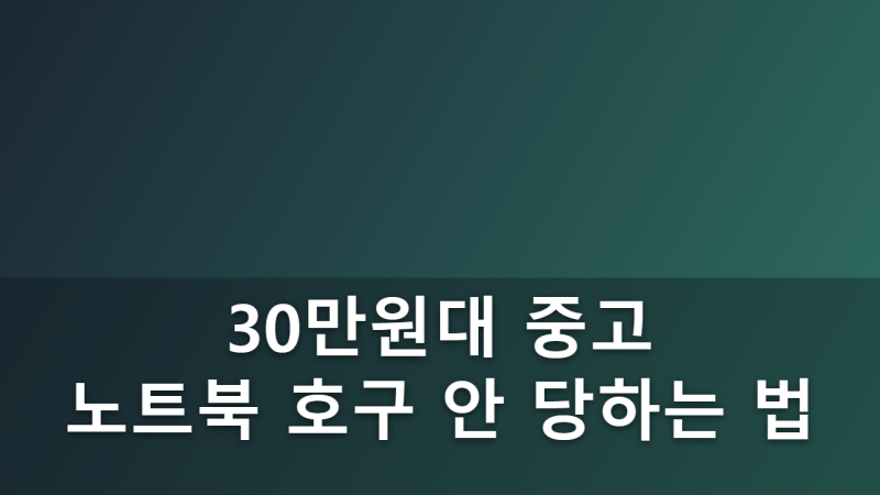 사회초년생과 저예산 유저를 위한 가성비 Windows 기반 중고 노트북 구매 가이드