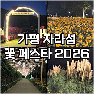 가평 자라섬 꽃 페스타 2026, 축제 입장료·환급·운영시간 총정리