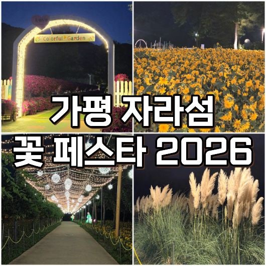 가평 자라섬 꽃 페스타 2026, 축제 입장료·환급·운영시간 총정리