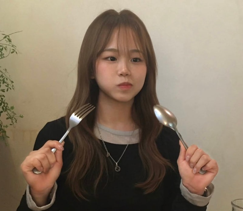 기계체조 도마 금메달 여서정 인스타 아빠 여홍철 자녀 와이프 엄마 신기록 여2 기술 학교 대....
