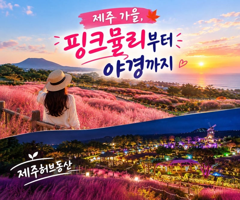 제주 허브동산 핑크 뮬리 야경 족욕 체험 총정리 | 제주 표선 가을 여행 추천