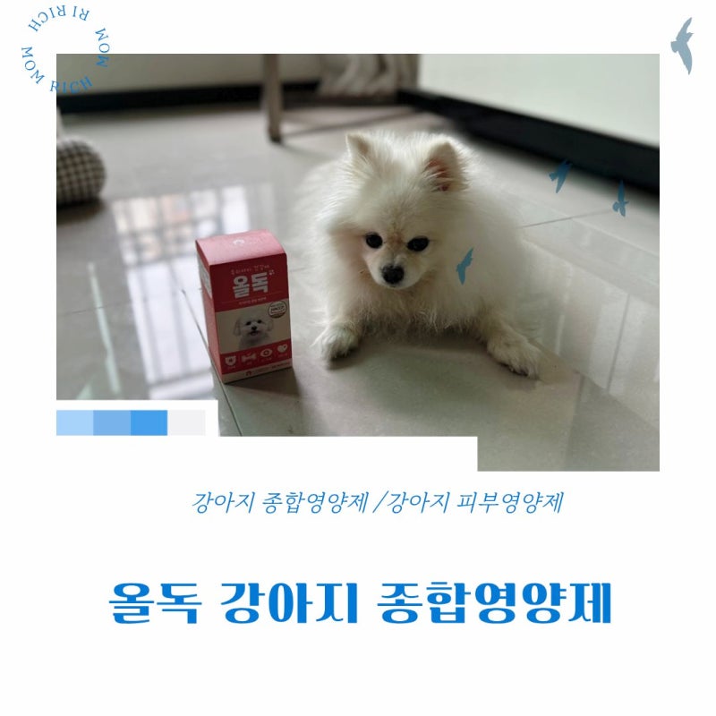이찡이를 위해 고른 올독 강아지 종합영양제❣️