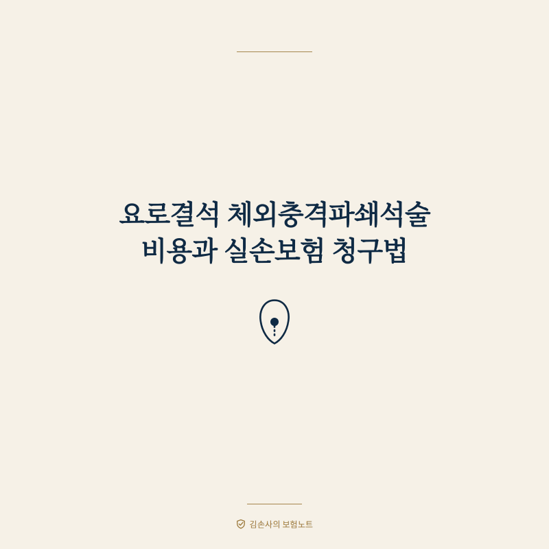 요로결석 체외충격파쇄석술 비용과 실손보험 청구법