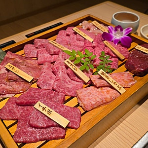 후쿠오카 야끼니꾸 무한리필 하카타 룸실당 사이린 내돈내산