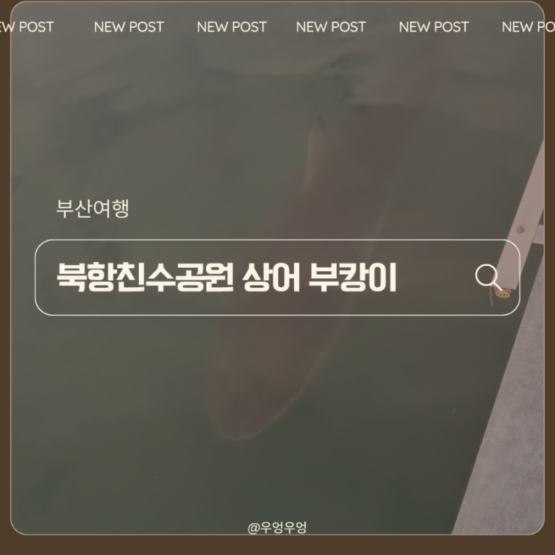 부산 북항친수공원 상어 '부캉이' | 주차 명당 관람 꿀팁 총정리
