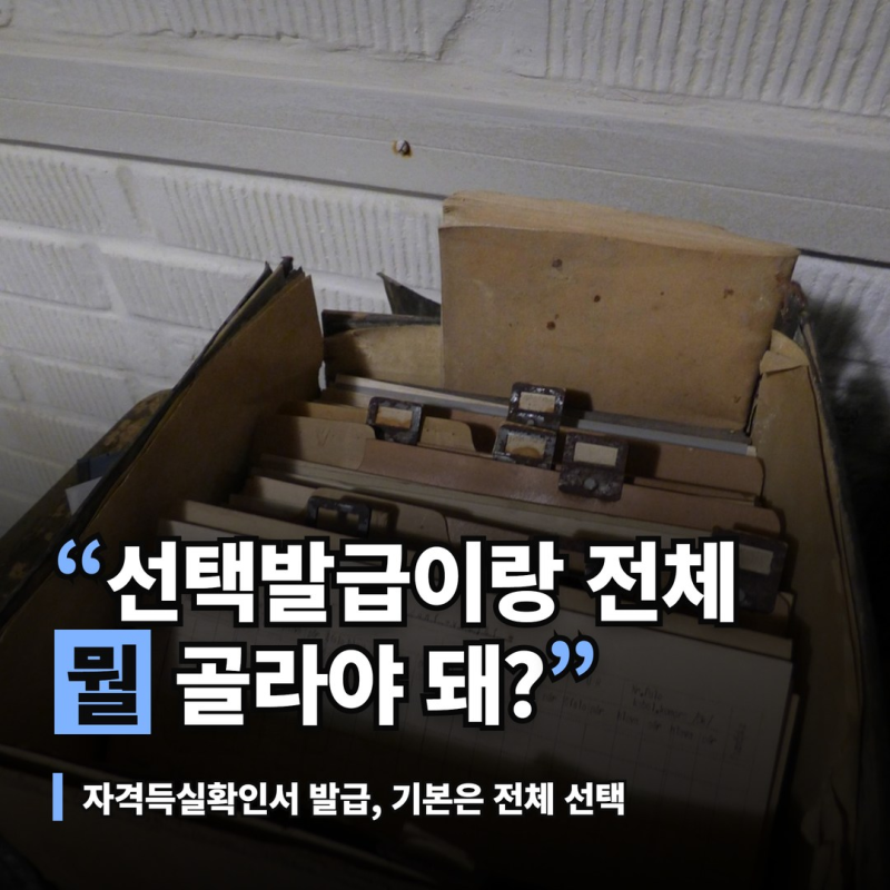 건강보험 자격득실확인서 온라인 발급, 선택발급과 전체 차이