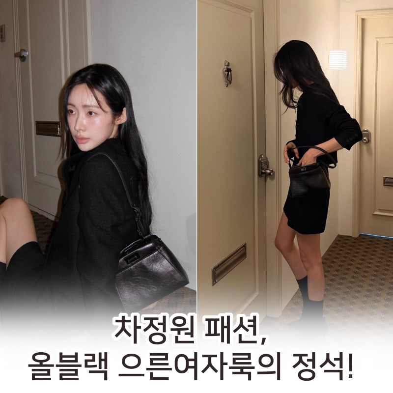 차정원 패션, 올블랙 으른여자룩의 정석! 펜디 피카부백 XS 가방부터 투피스까지