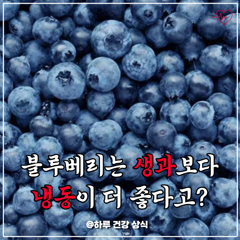 냉동 블루베리가 생과보다 낫다는 말, 진짜인지 직접 찾아봤어요