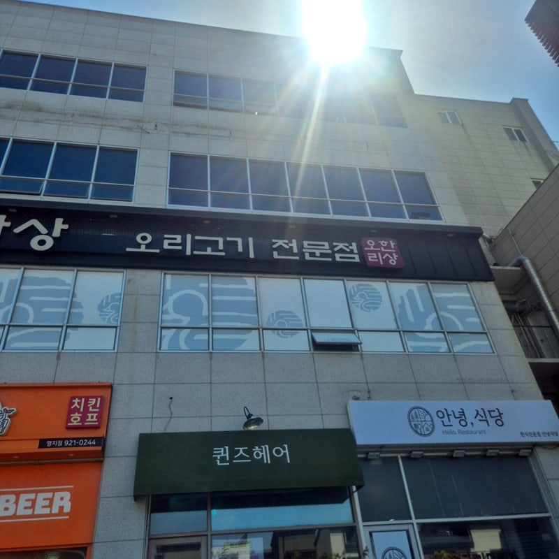 명지 국제신도시 맛집 오리 고추장 불고기가 맛있는 오리한상 명지본점
