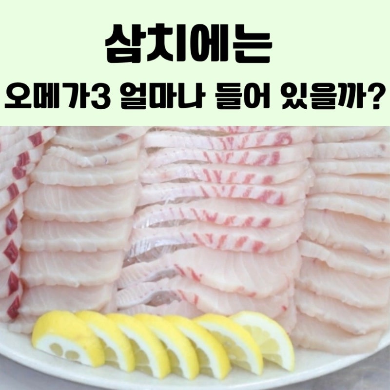 삼치에는 오메가3 얼마나 들어 있을까?