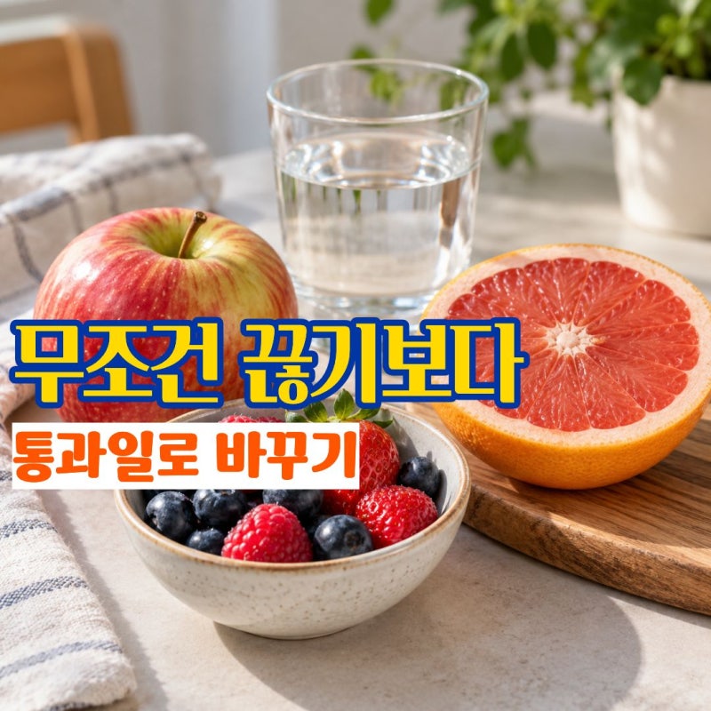 "다이어트할 때 과일부터 끊었다면" 뱃살 관리에 오히려 챙겨 먹기 좋은 다이어트과일