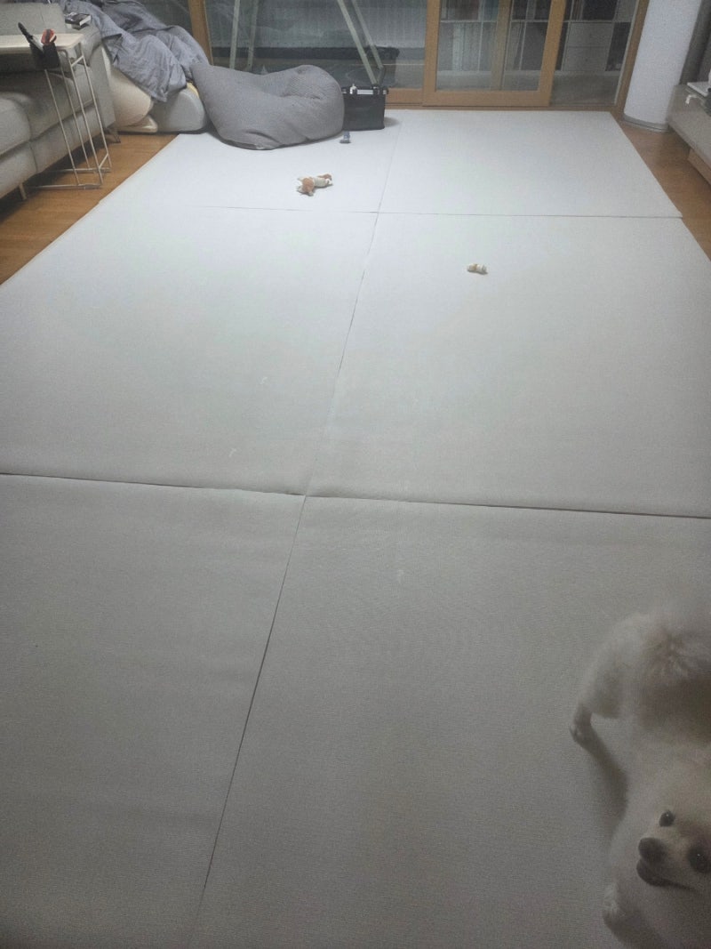 코스트코 강아지 매트로 거실 풀매공 완료: 당분간 이걸로 정착