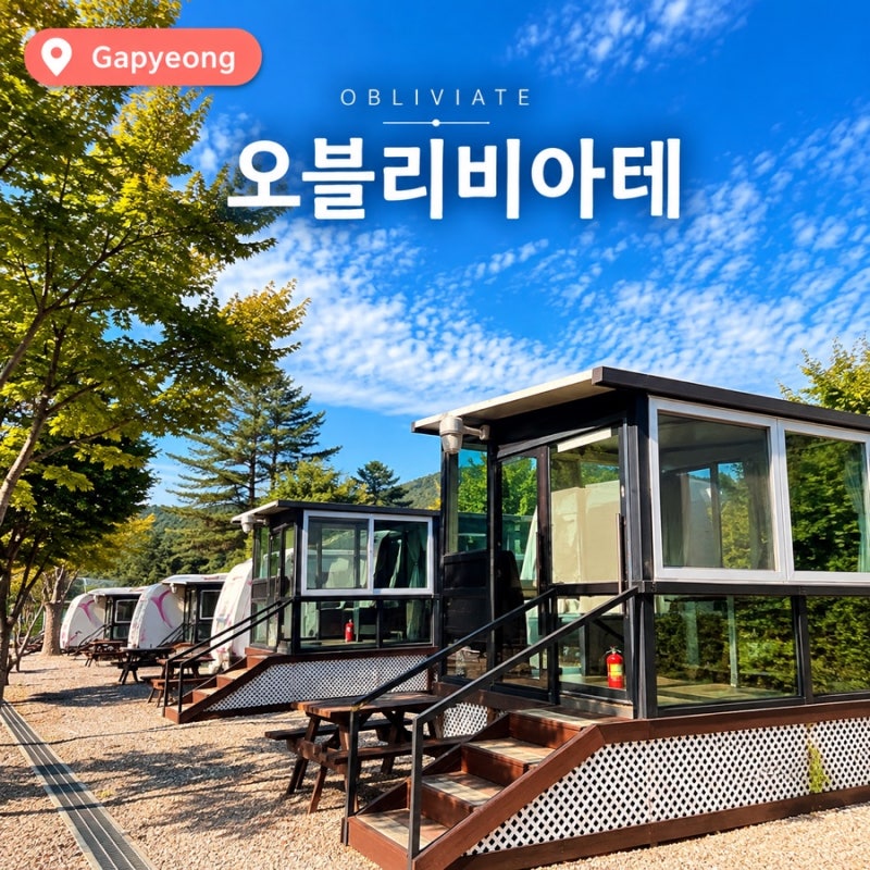 가평카라반 남이섬펜션 오블리비아테 애견동반 프라이빗 온수풀 숙소