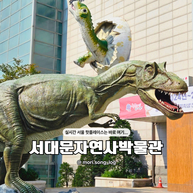 서대문자연사박물관 서울 실내 갈만한곳 놀거리 아이랑 가볼만한곳
