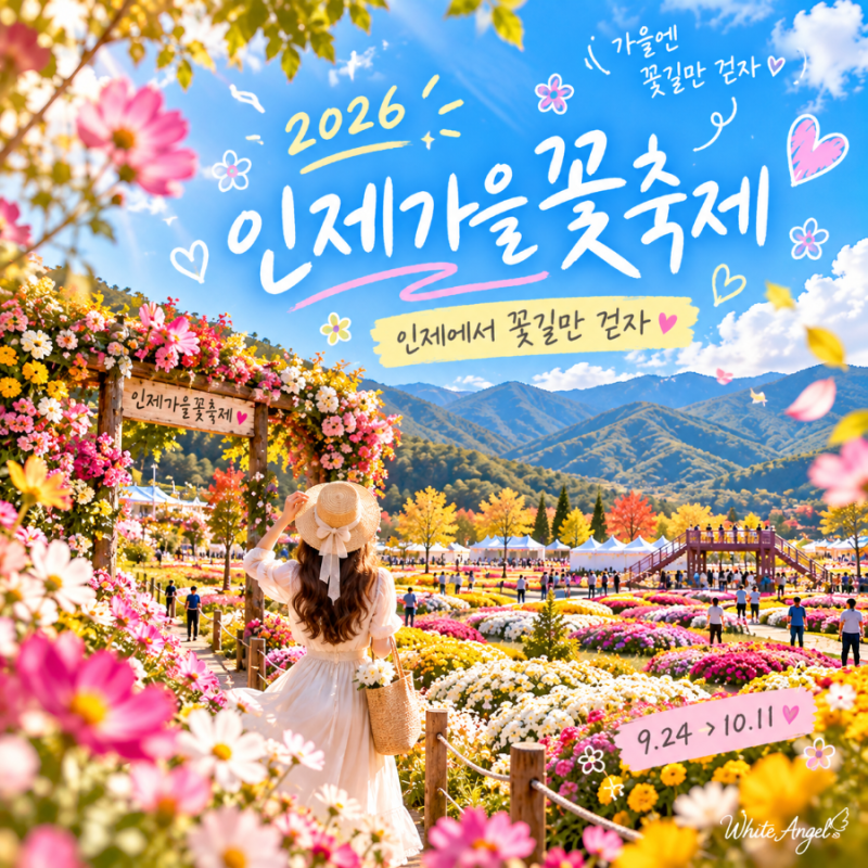 2026 인제가을꽃축제 추석 연휴 어디 갈까 주차부터 체험까지 한눈에