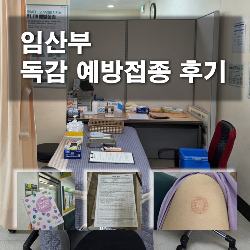 인천 서해구 임산부 독감예방접종 보건소 무료접종 시기 및 후기(feat.위탁 병원 정보)