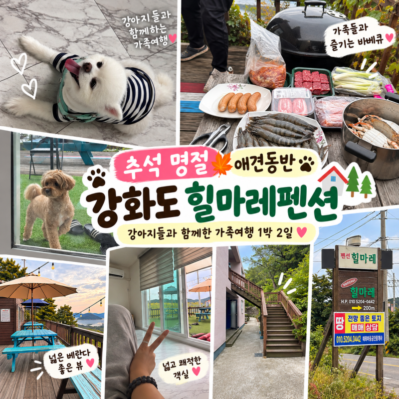 추석 명절 애견동반 강화도 펜션, 가족 모임으로 다녀온 강화 힐마레펜션 1박 후기