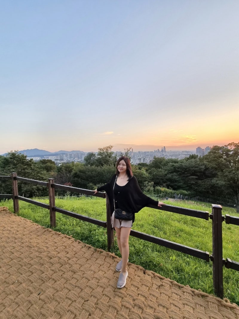 서울 나들이 코스 추천 갈만한 곳 서울N타워 남산공원