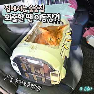 고양이이동장 추천, 릿첼 듀얼 오픈 파인 켄넬 집에서는 숨숨집 외출할 땐 이동장