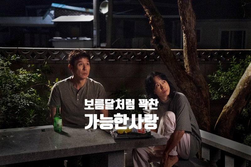 가능한 사랑 줄거리 후기 쿠키 정보 한국 멜로 영화 추천 청불 수위